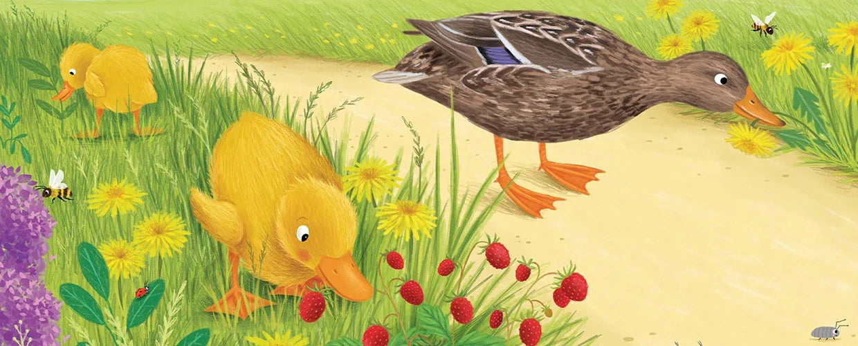 Elli, die kleine Ente