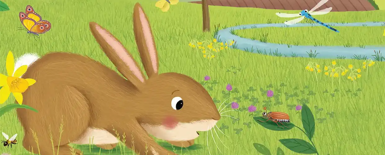 Henry, der kleine Hase