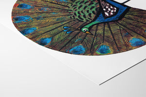 Eulenglück – Der stolze Pfau