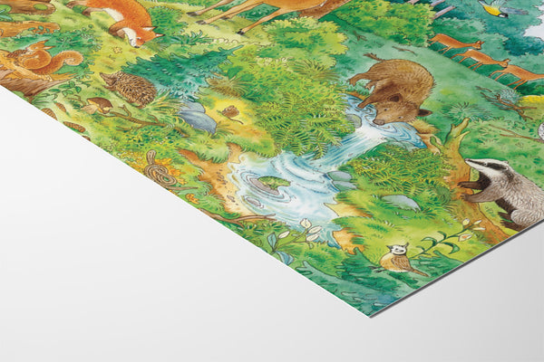 Mein großes Buch der Tiere – Im Wald