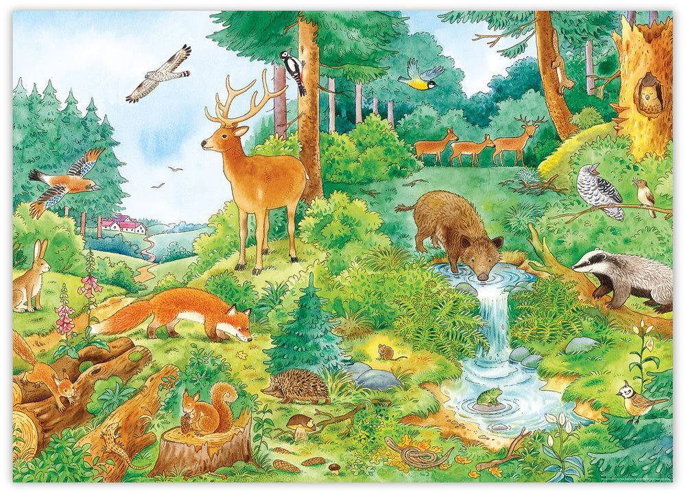 Mein großes Buch der Tiere – Im Wald