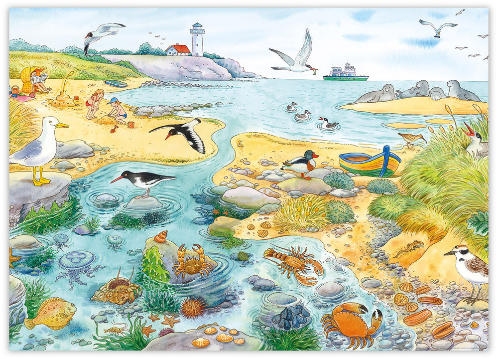 Mein großes Buch der Tiere – Am Meer