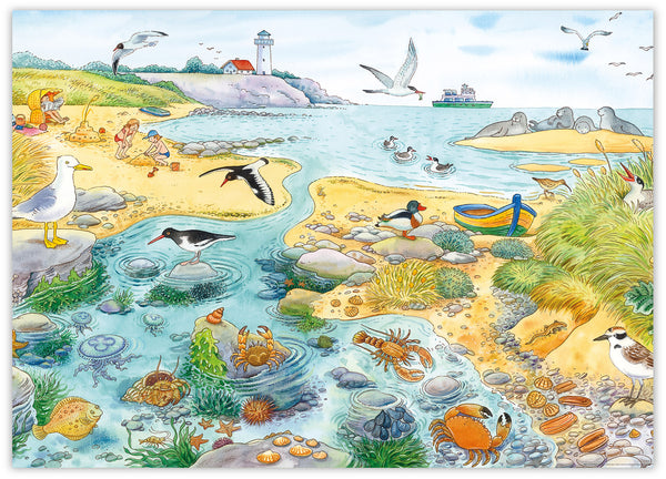 Mein großes Buch der Tiere – Am Meer