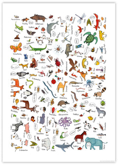 Wimmelposter: Schau mal, so viele Tiere!